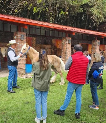 Teambuilding 2